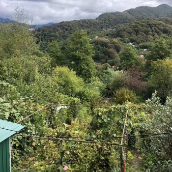 Продается Дом, 24 м²