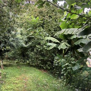 Продается Дом, 24 м²