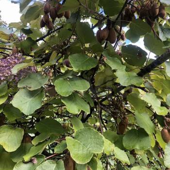 Продается Дом, 24 м²