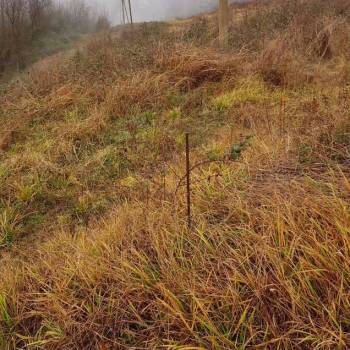 Продается Участок, 900 м²