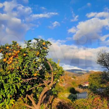 Продается Участок, 2000 м²