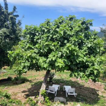 Продается Участок, 2000 м²