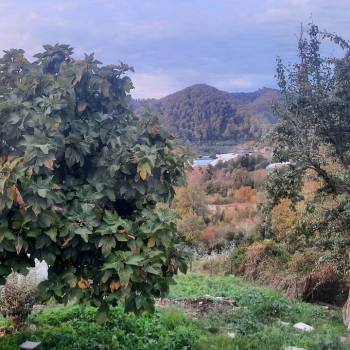 Продается Участок, 2000 м²