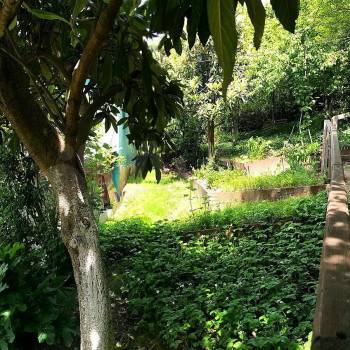 Продается Дом, 55 м²