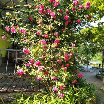 Продается Дом, 119 м²