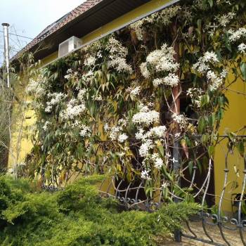 Продается Дом, 119 м²