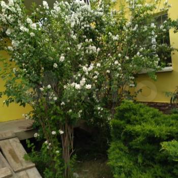 Продается Дом, 119 м²