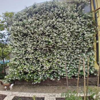 Продается Дом, 119 м²