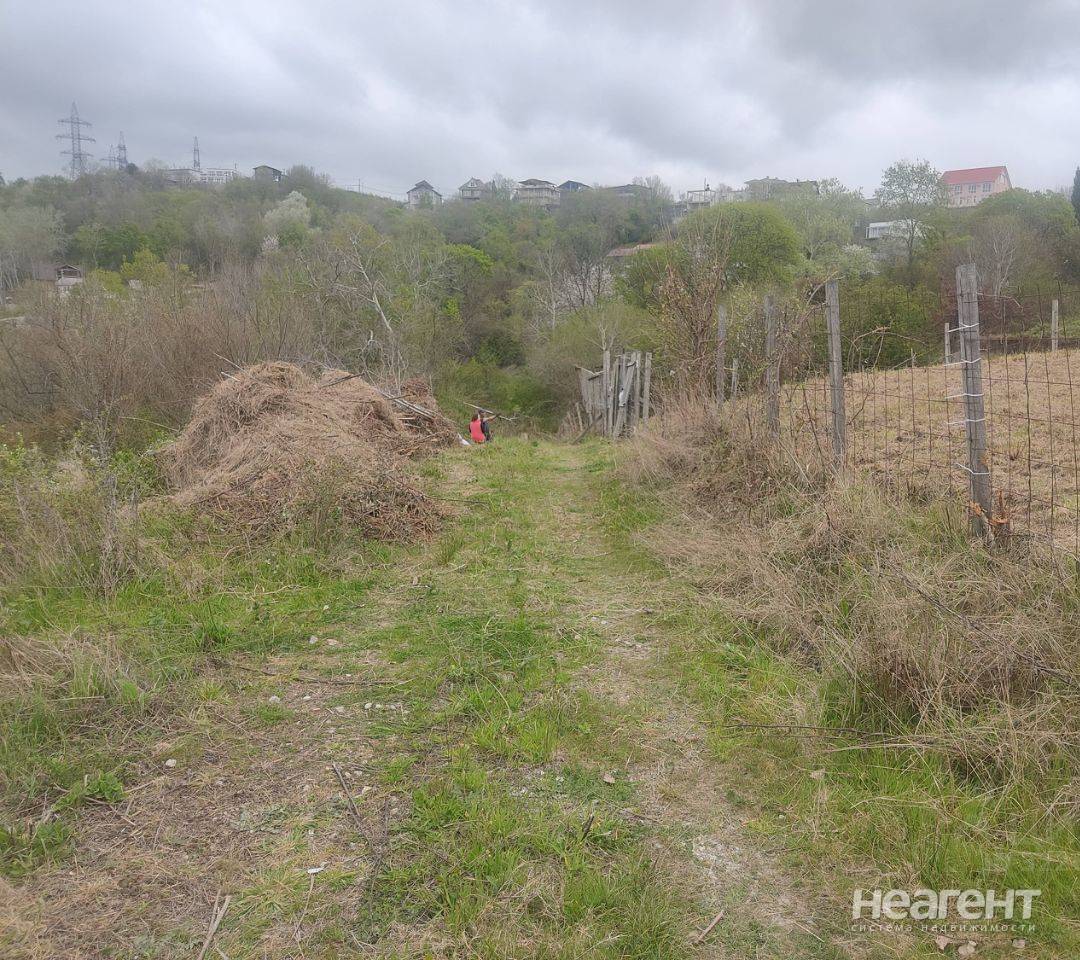 Фотография №3