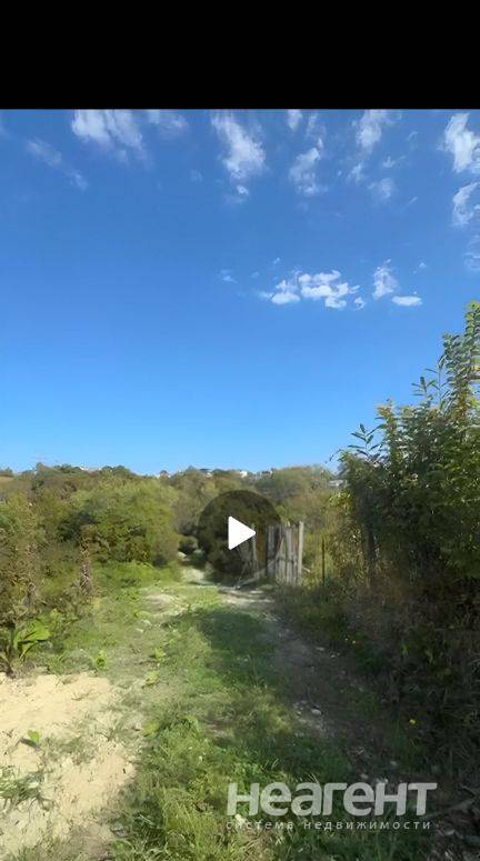 Фотография №5