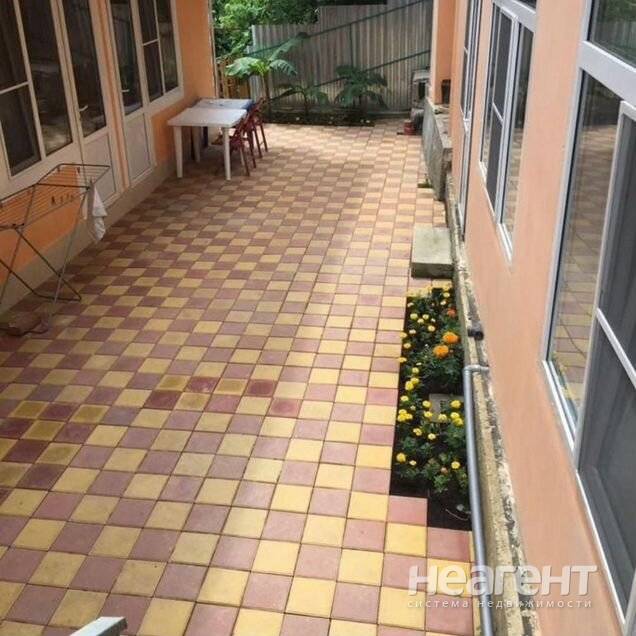 Фотография №3