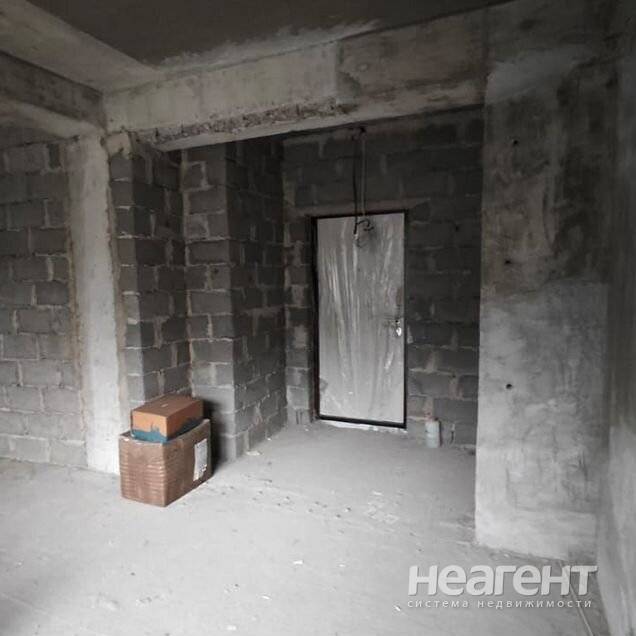 Фотография №3