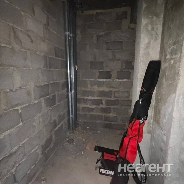 Фотография №5