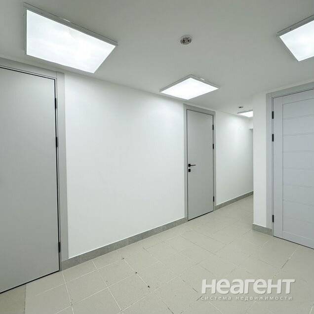 Фотография №2