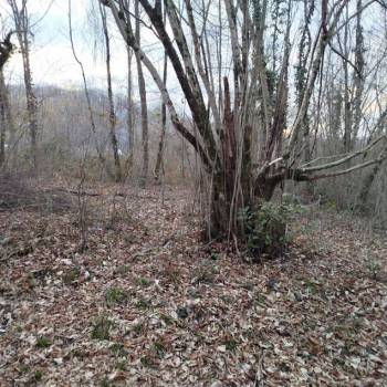 Продается Участок, 620 м²