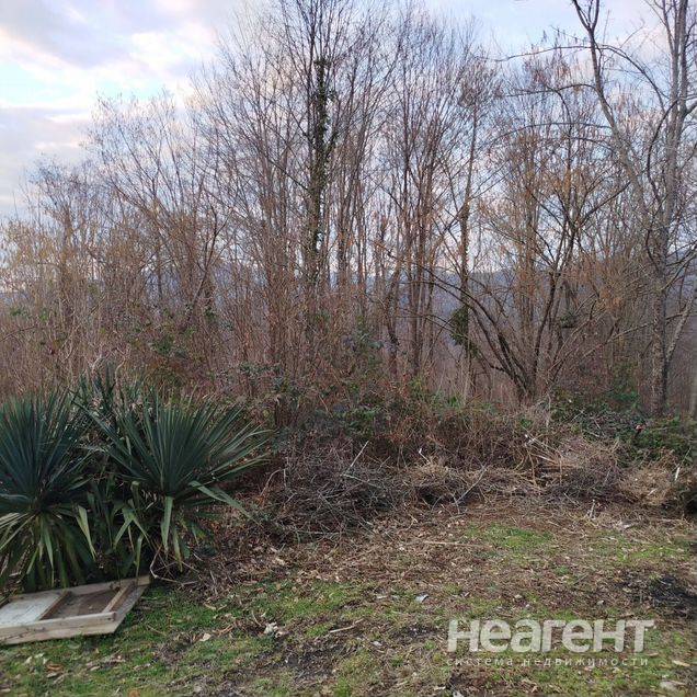 Фотография №2