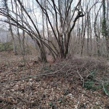 Продается Участок, 620 м²