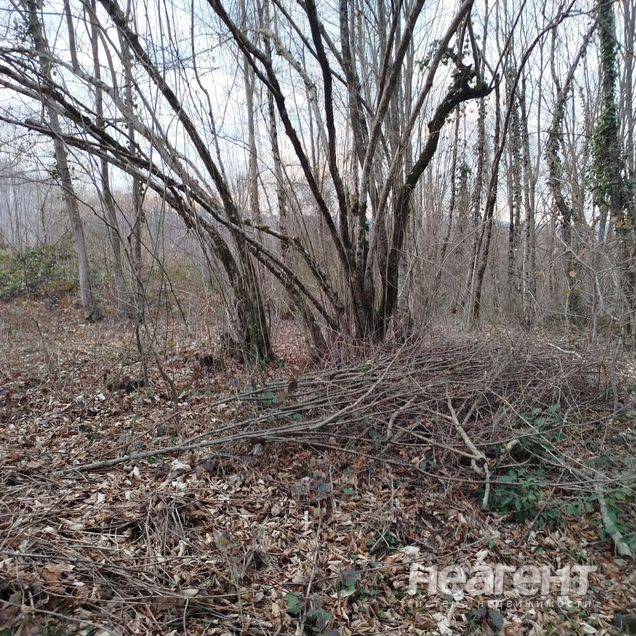 Фотография №3