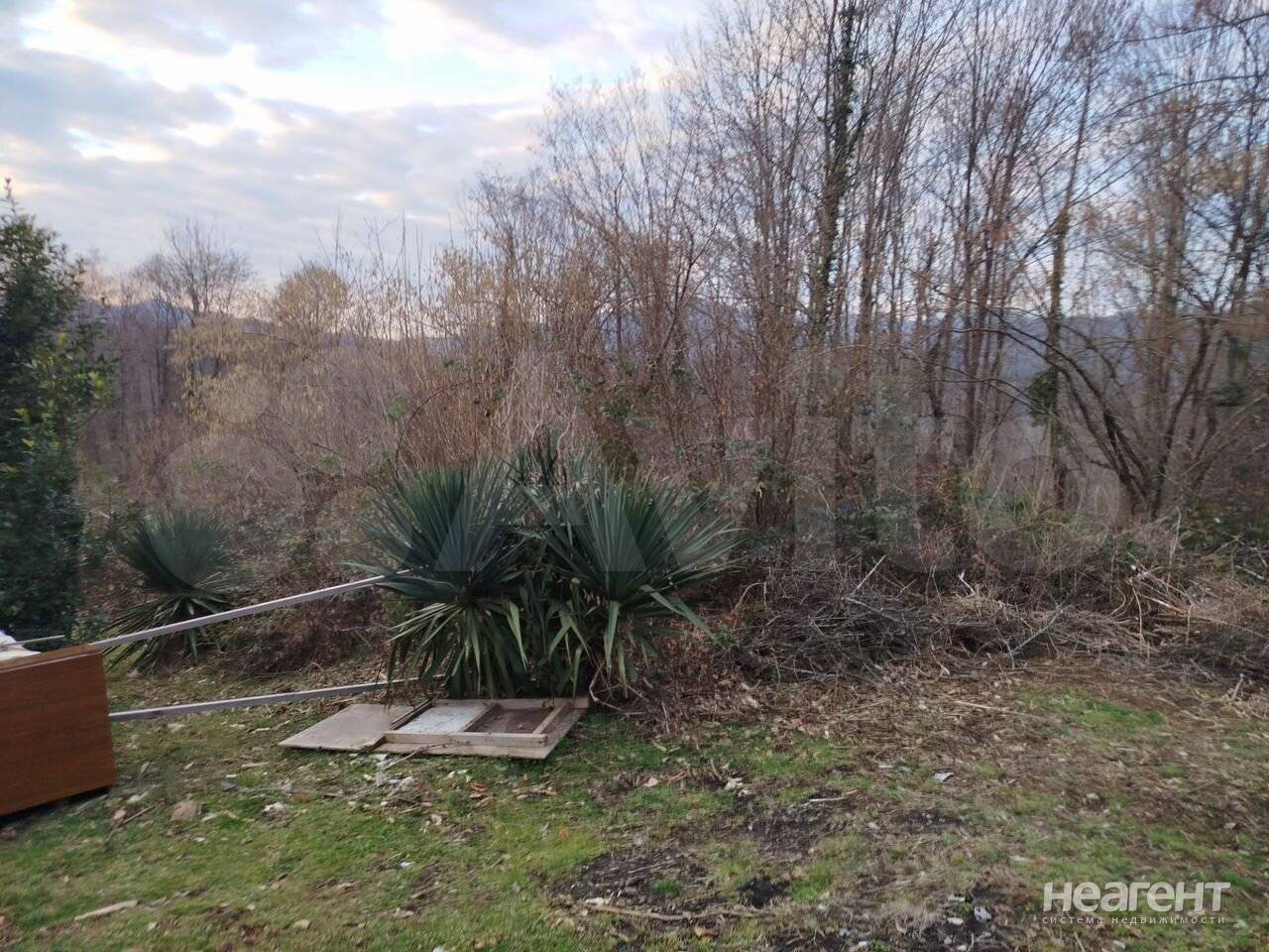 Фотография №4