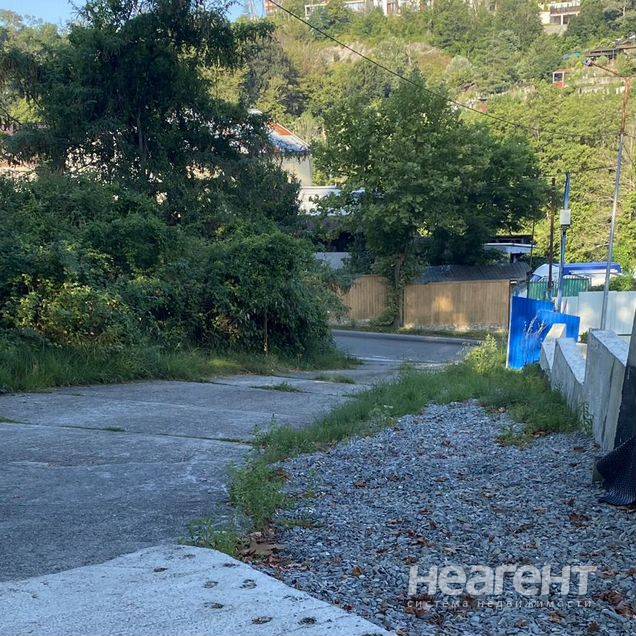 Фотография №2