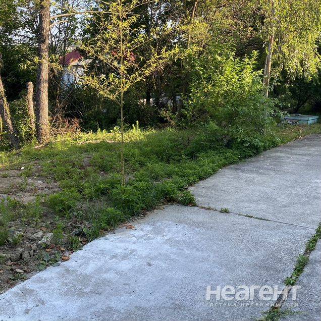 Фотография №3