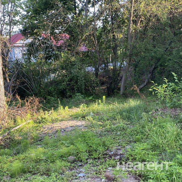 Фотография №4