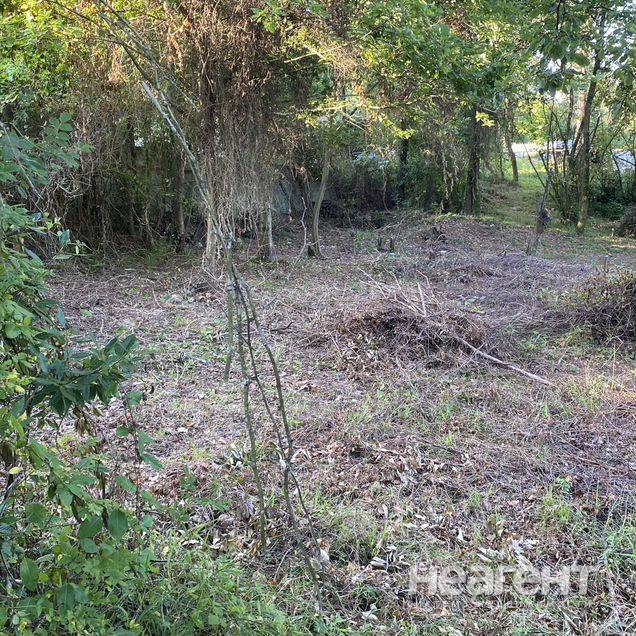 Фотография №5