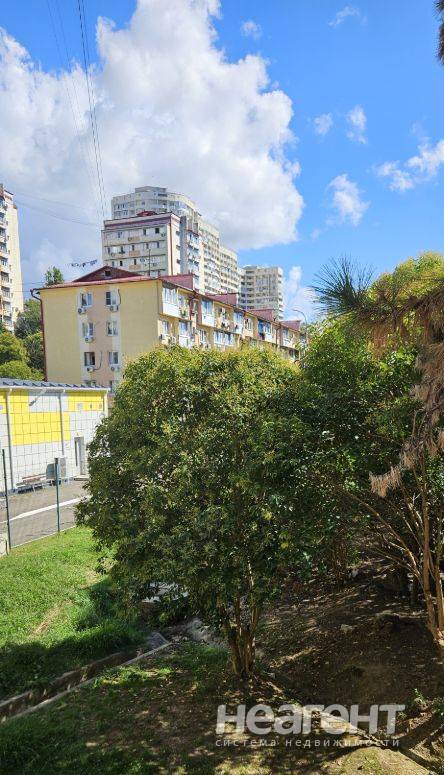 Фотография №4