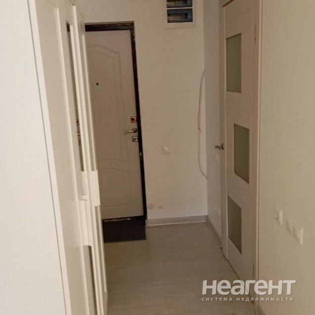 Фотография №5