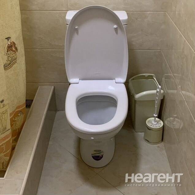 Фотография №4