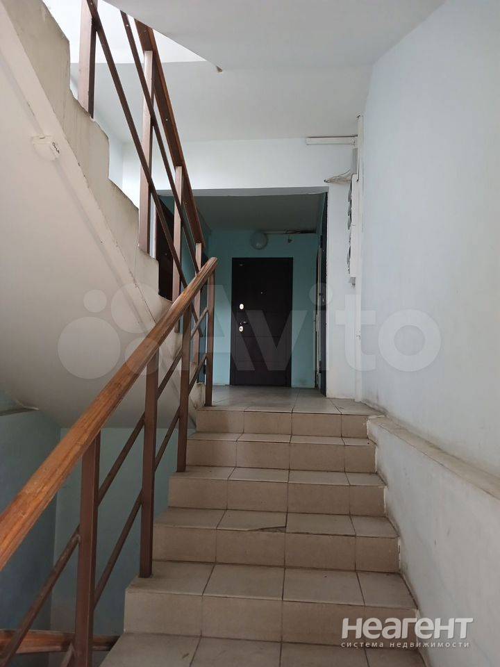 Фотография №4