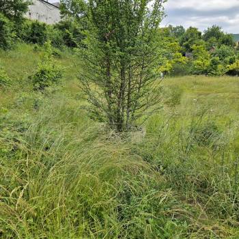 Продается Участок, 2000 м²