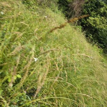 Продается Участок, 2000 м²