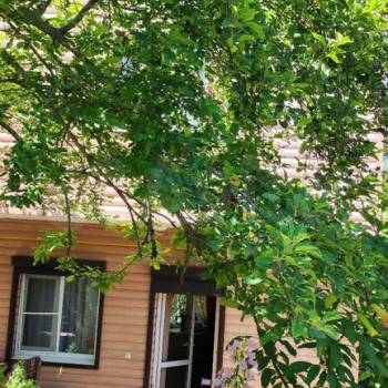 Продается Дом, 230 м²