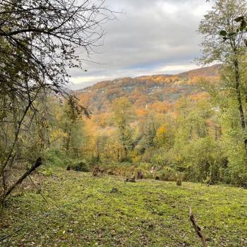 Продается Участок, 550 м²