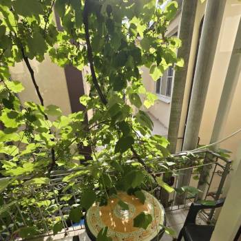 Сдается Комната, 40 м²