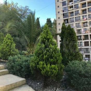 Продается 1-комнатная квартира, 24,8 м²