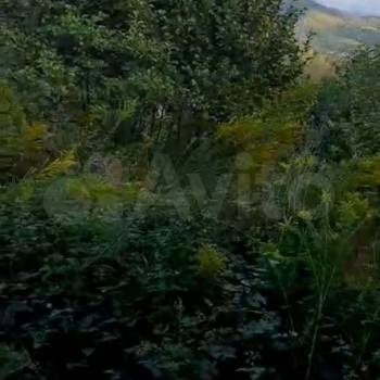 Продается Участок, 40500 м²