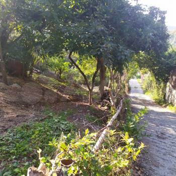 Продается Участок, 740 м²