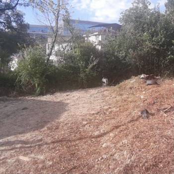 Продается Участок, 500 м²