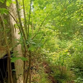 Продается Участок, 550 м²