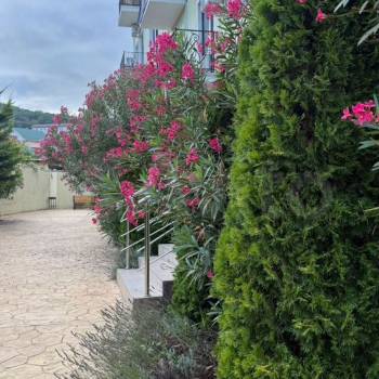 Продается 2-х комнатная квартира, 31,5 м²