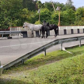 Продается 1-комнатная квартира, 40,2 м²