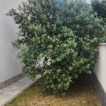 Продается Дом, 179 м²