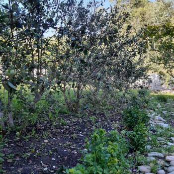 Продается Дом, 94 м²