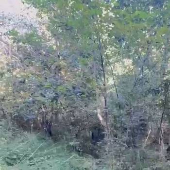 Продается Участок, 500 м²