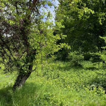 Продается Участок, 1000 м²