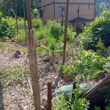 Продается Участок, 600 м²