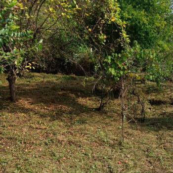 Продается Участок, 590 м²