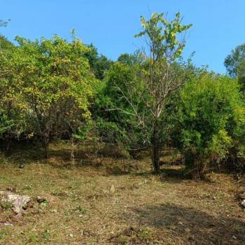 Продается Участок, 590 м²